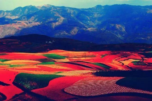 怎么去除痘印